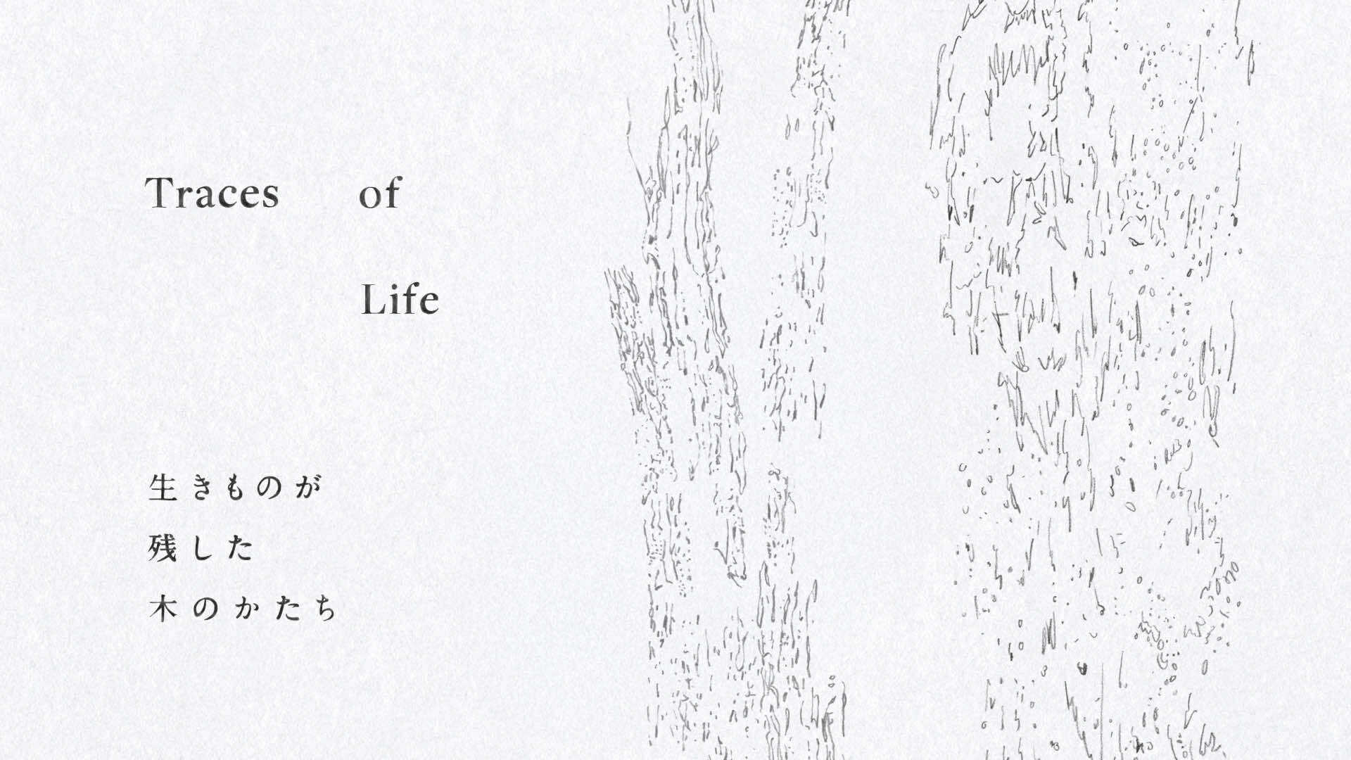 Tokyo/Exhibition】 展覧会「 Traces of Life ー 生きものが残した木の